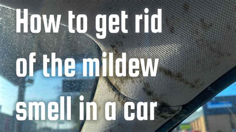 how to get a mildew smell out of a car: why do cars develop mildew smells in the first place?